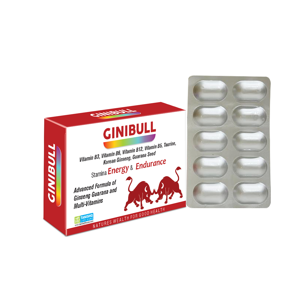 Ginibull