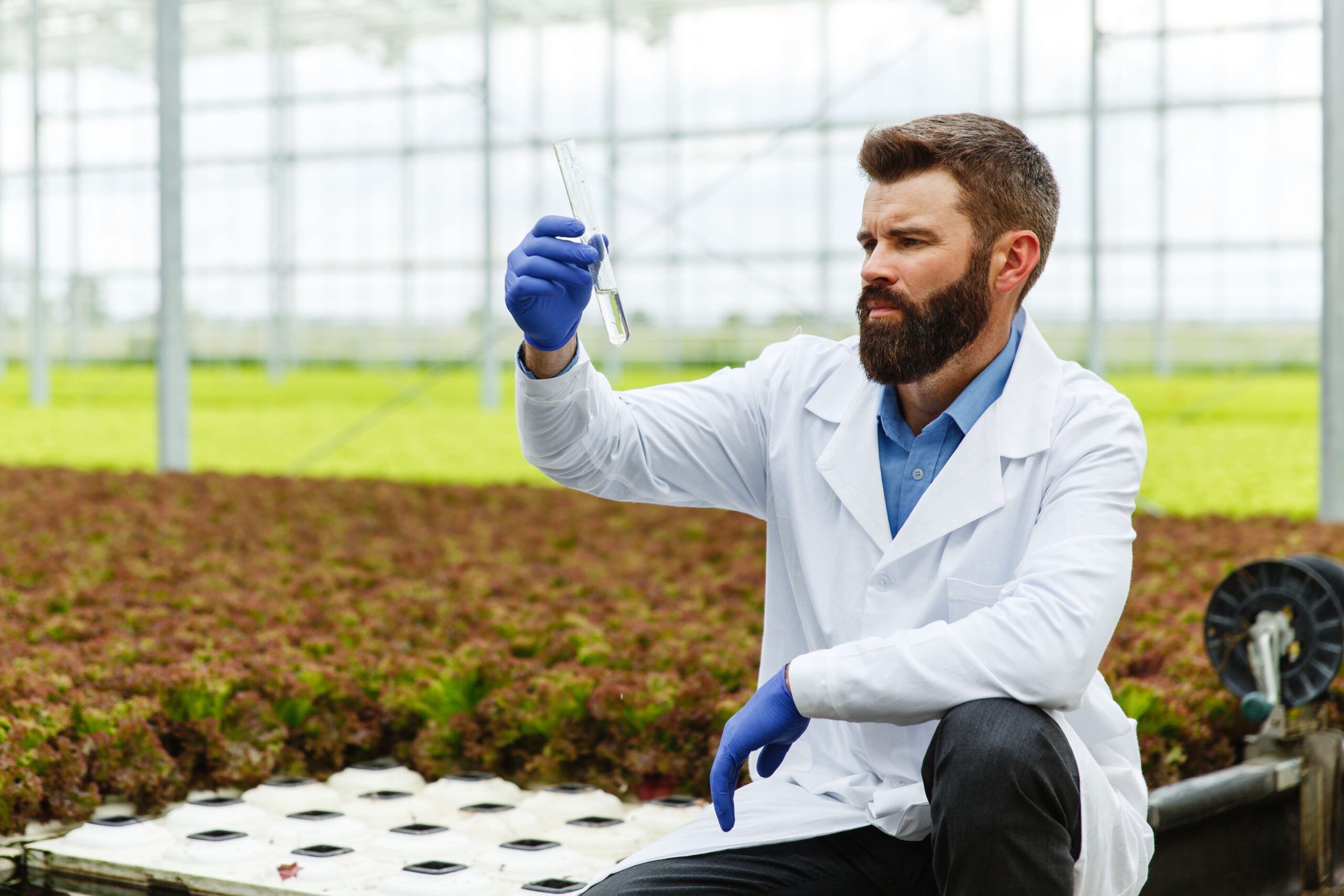 The Rise of Nutraceutical Companies in India: Trends, Opportunities & Future Outlook