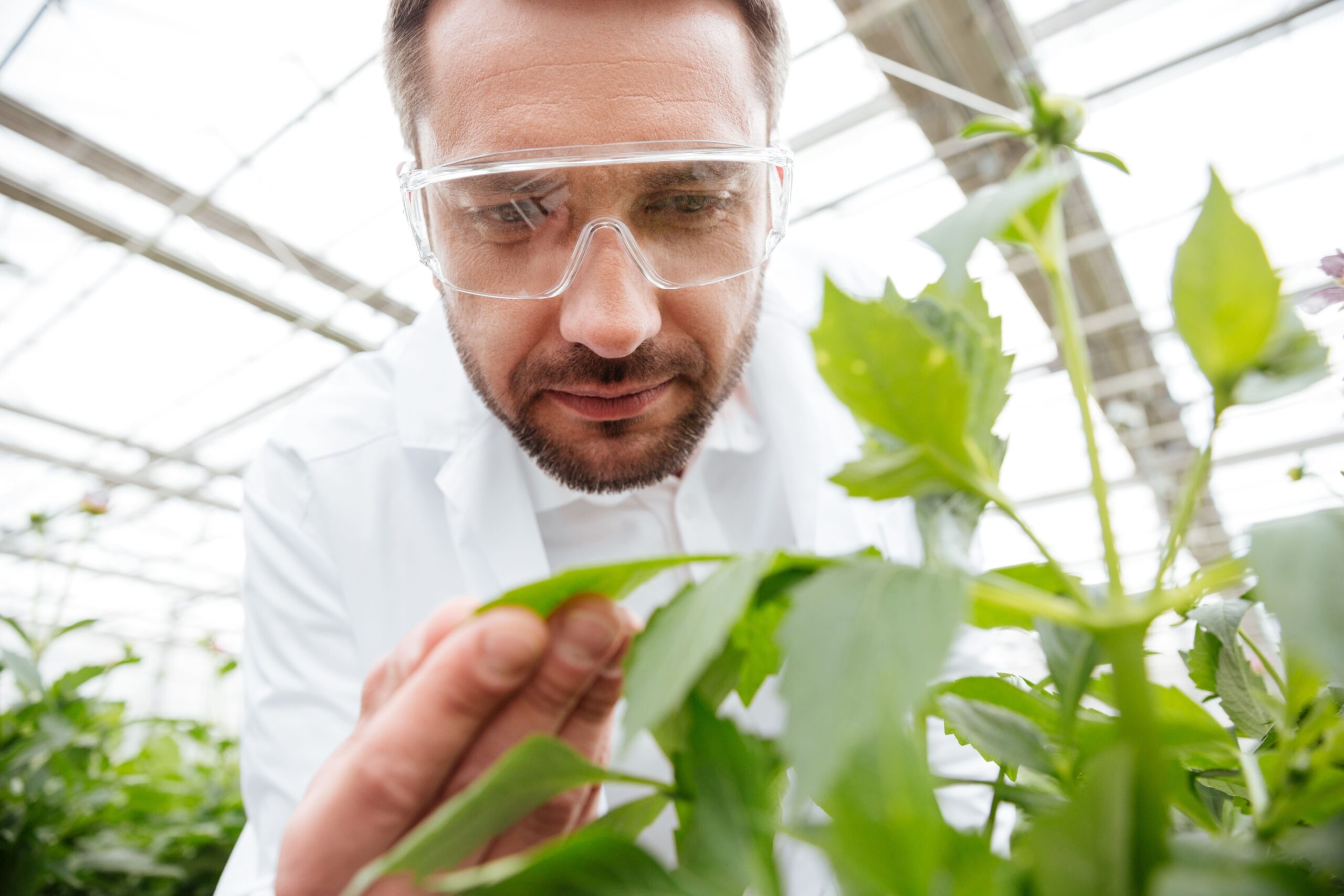 Inside Tanishq Lifecare: A Leading Nutraceutical Manufacturer in India
